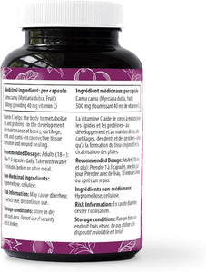 Natural Traditions Natural Camu Camu Berry 90 Capsules