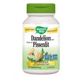 Nature's Way Dandelion Root