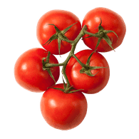 Organic Tomato On The Vine Red (1 bunch of 4-6 tomatoes)