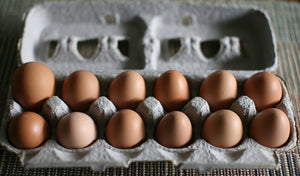 Nature Plus Free Range Brown Eggs, Extra Large, 1 dozen