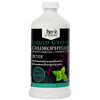 Pure-le Natural Liquid Greens Chlorophyll Super Concentrate Activated Charcoal Mint 450mL