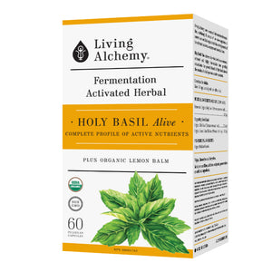 Living Alchemy Holy Basil Alive