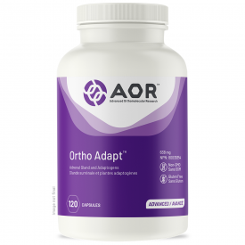 AOR Ortho Adapt