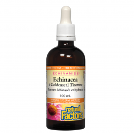 Natural Factors ECHINAMIDE® Echinacea & Goldenseal Tincture 100mL