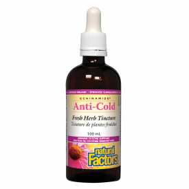 Natural Factors ECHINAMIDE® Anti-Cold Tincture 100mL