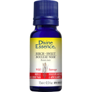 Divine Essence Birch Sweet Genuine Essential Oil 15mL