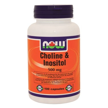 NOW Foods Choline & Inositol 500 mg 100 caps