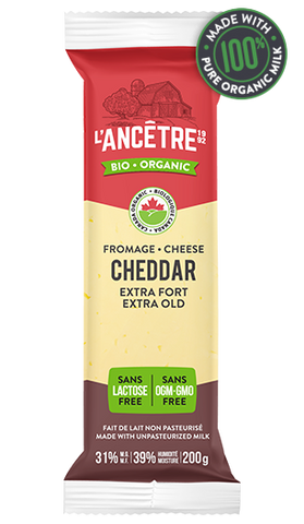 L'ancetre cheese, Organic cheddar, Extra Old