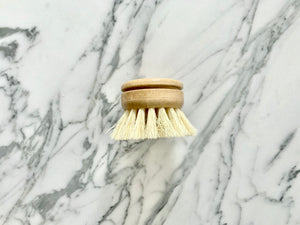 100% Compostable Dish Brush Head replacement
