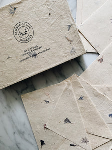 Handcrafted Botanical Notecards, set of 15 blank envelopes and cards